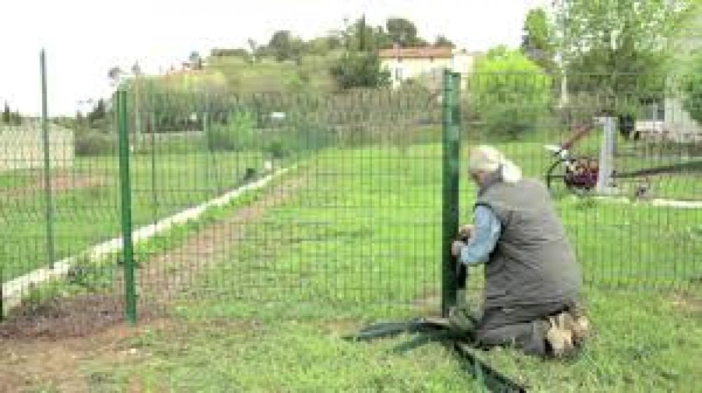 Création de pelouse