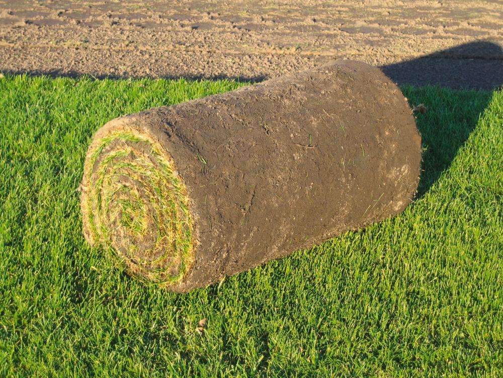 Clôture installée avec succès
